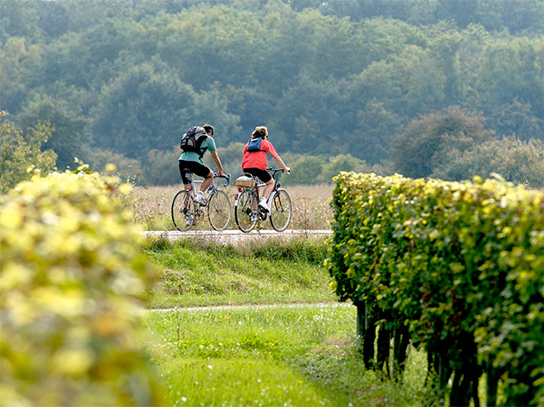 cyclotourisme gironde Roquefort