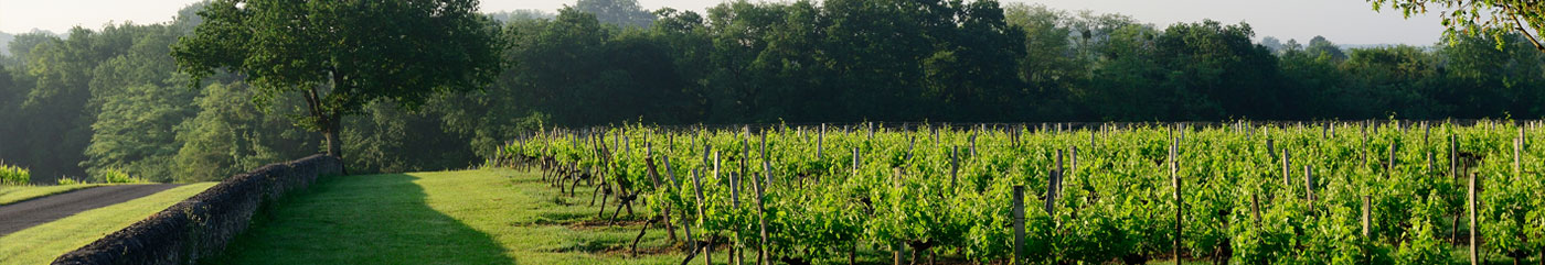 Château Roquefort, au cœur de l’oenotourisme en Entre-Deux-Mers