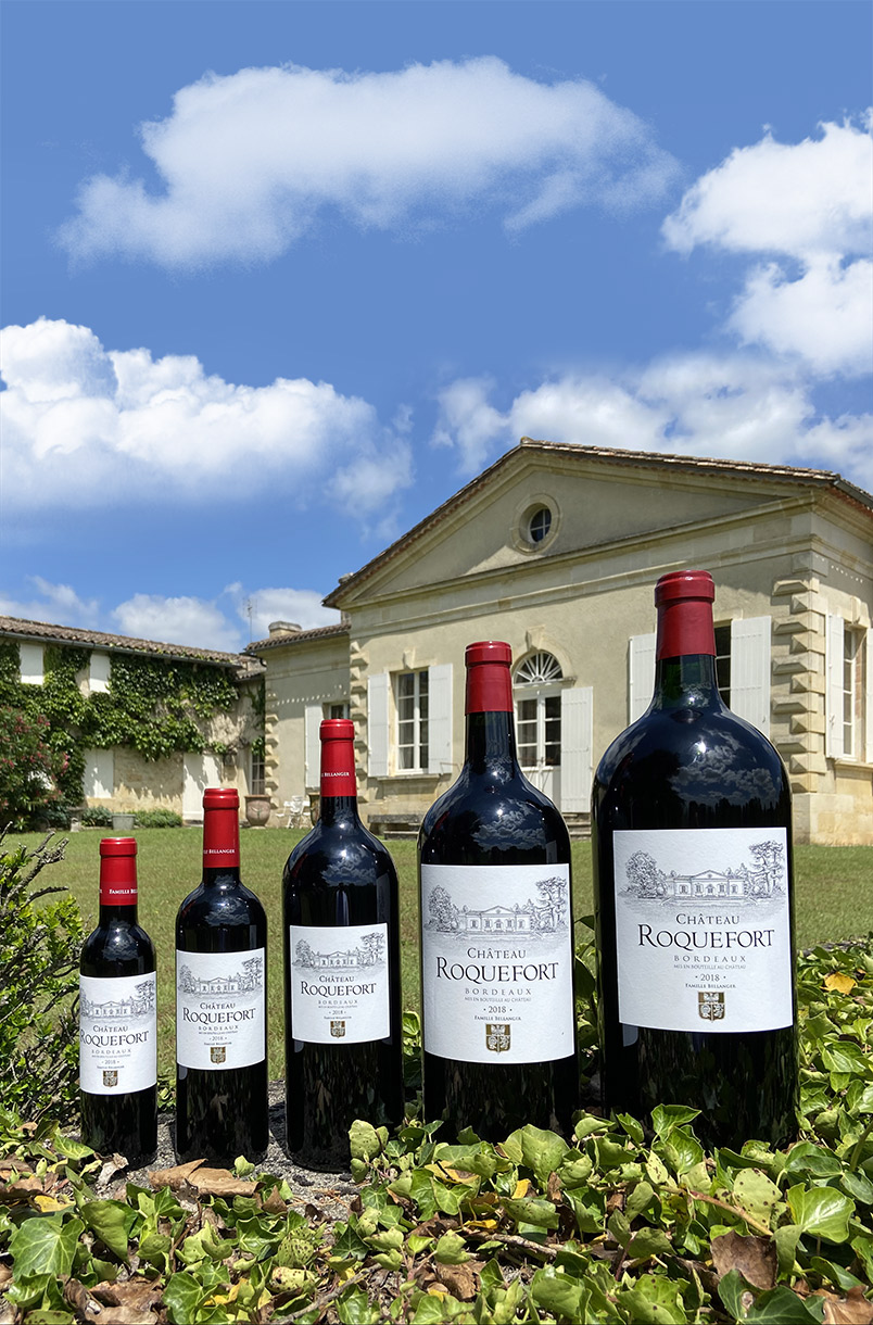 Vin rouge AOC Bordeaux 2020 en carton de 6 bouteilles
