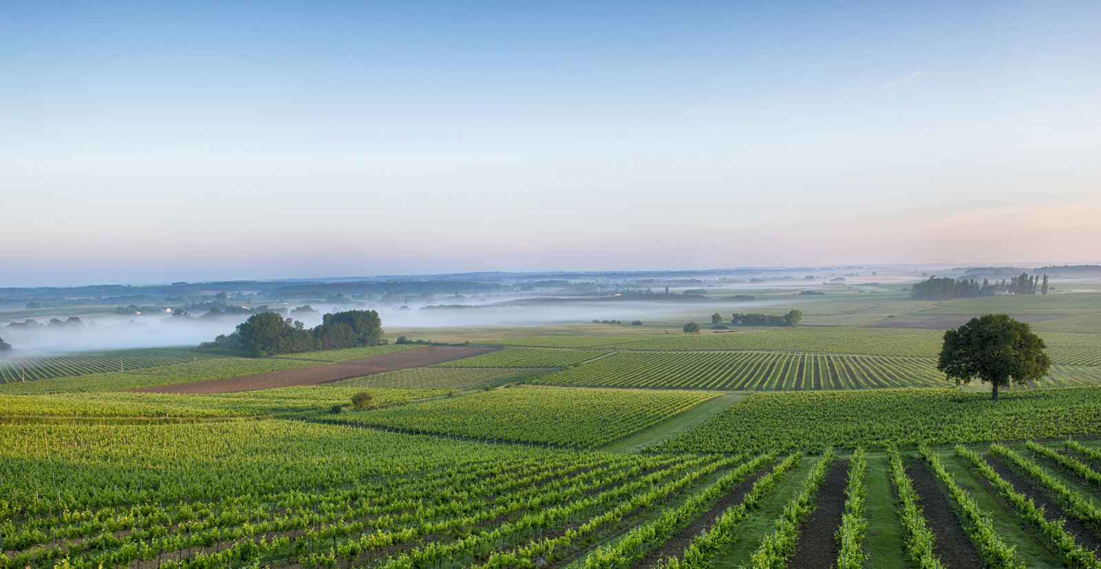 chateau-roquefort-1-paysage