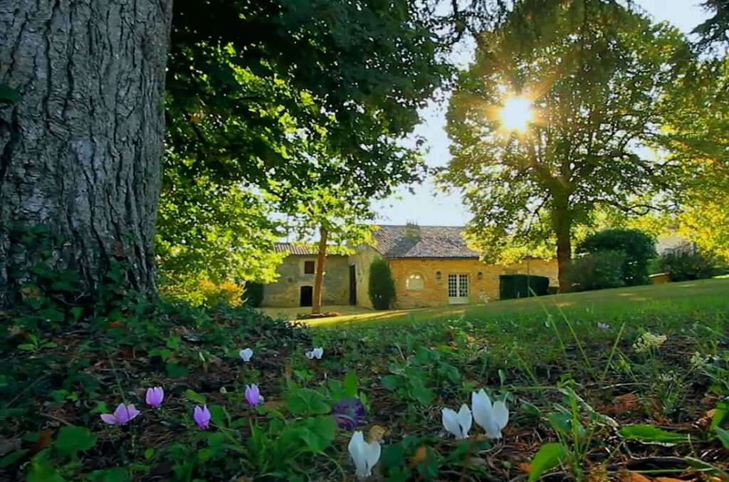 paysage Château Roquefort