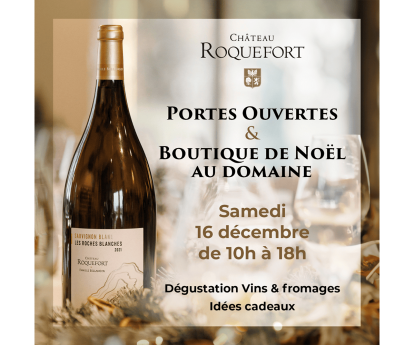 Boutique de Noël au domaine le samedi 16 décembre