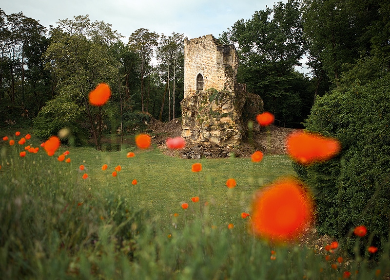 Visite patrimoine médiévale 