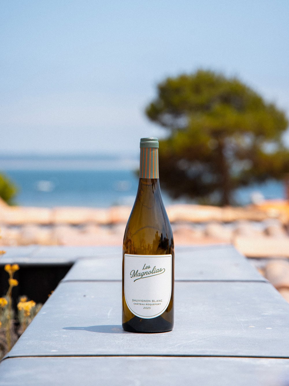 Les Magnolias vin blanc Chateau Roquefort Les Magnolias vin blanc Chateau Roquefort